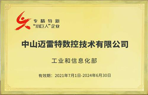 国家专精特新小巨人