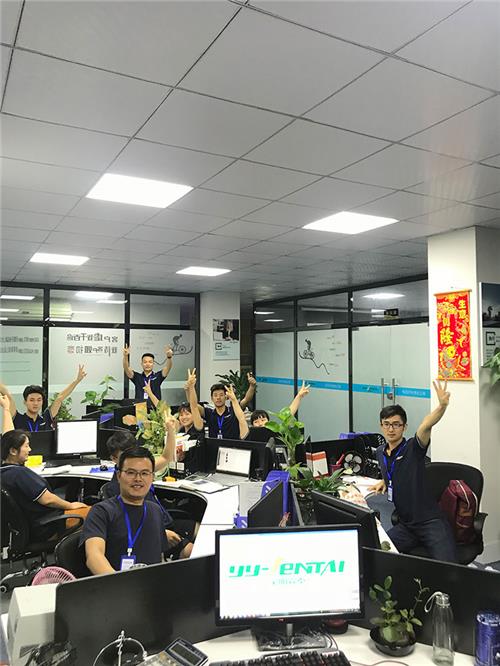 Company team