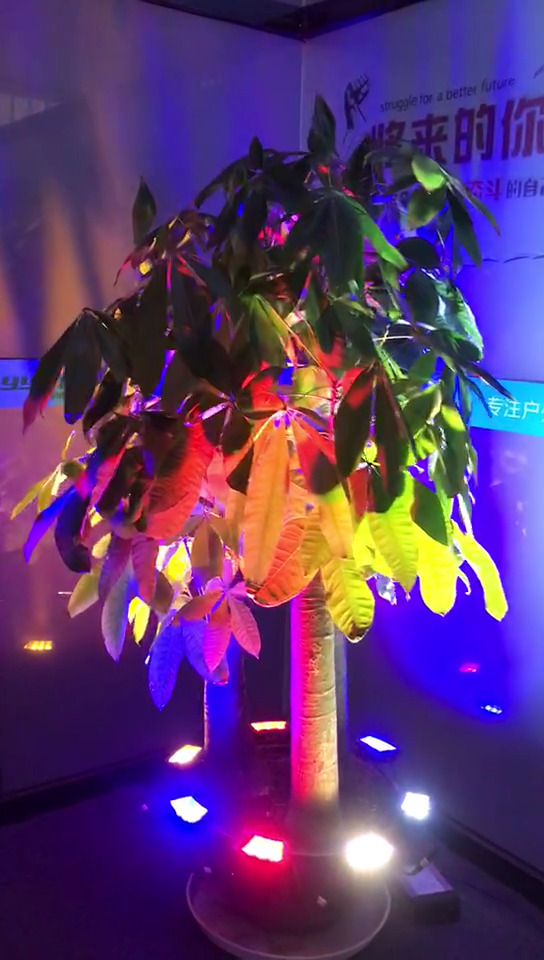Yuyang Sentai Lighting Night scene Lighting Project