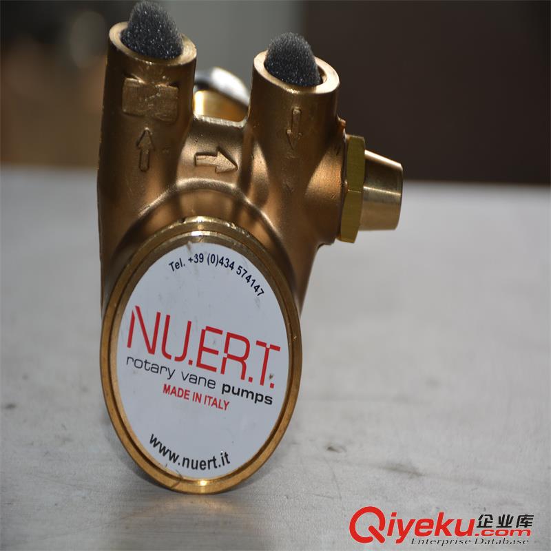 飄洋過海葉片水泵頭PRG10ASXV意大利NUERT產保修保障