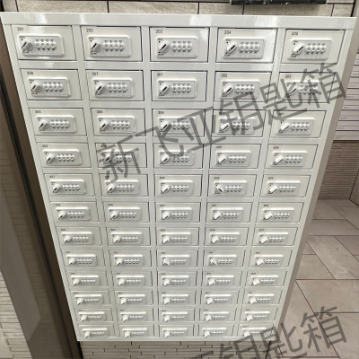 針對日本設(shè)計(jì)銷往日本市場的密碼鎖鑰匙保管柜原始圖片2