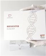 篤瑪ELISA試劑盒產(chǎn)品包裝升級換新