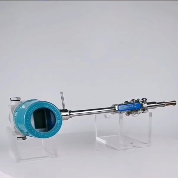 開封惠爾HRLS型插入式熱式氣體質量流量計/遠傳插入式氣體流量計