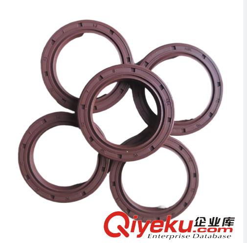 進(jìn)口NAK骨架TC油封TTO氟膠SC耐磨高溫腐蝕TG丁腈SOG密封圈EC端蓋V