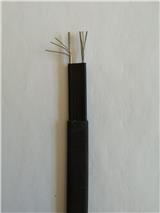 阻燃電熱帶ZR-ZBR-J-45-220這里多少錢