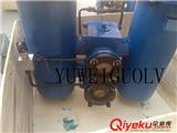 ZA2LS1000W-BZ1余熱發(fā)電系統(tǒng)濾芯