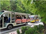 電動(dòng)觀光車介紹及使用指南