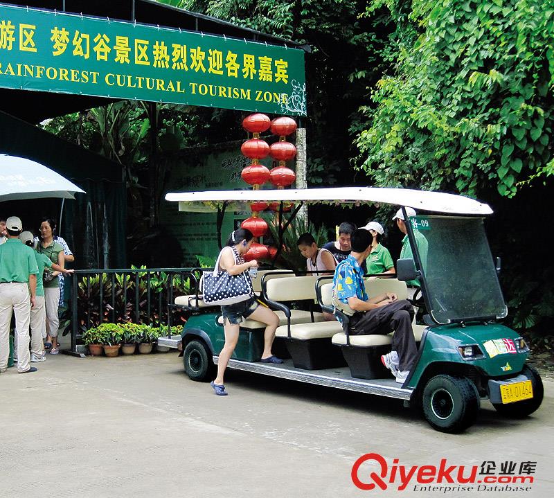 2座高爾夫球車原始圖片2