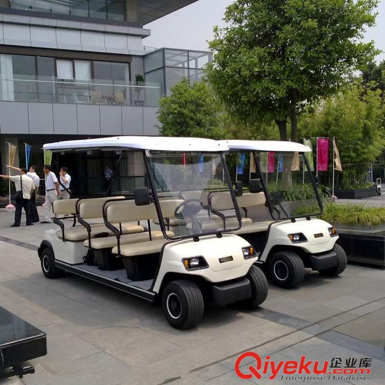 2座高爾夫球車原始圖片3