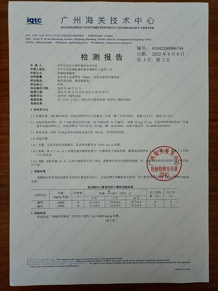 检测报告