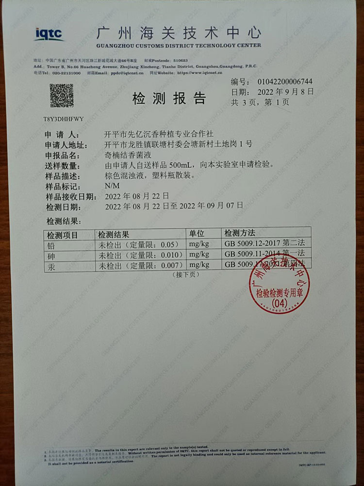 检测报告