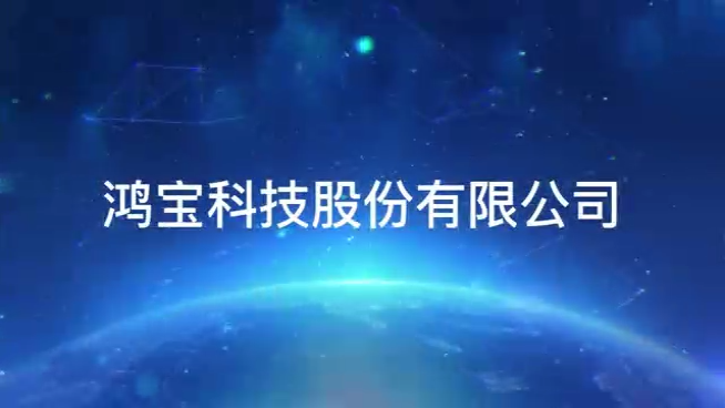 鸿宝科技股份有限公司简介