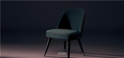 Zesen Video Presentation