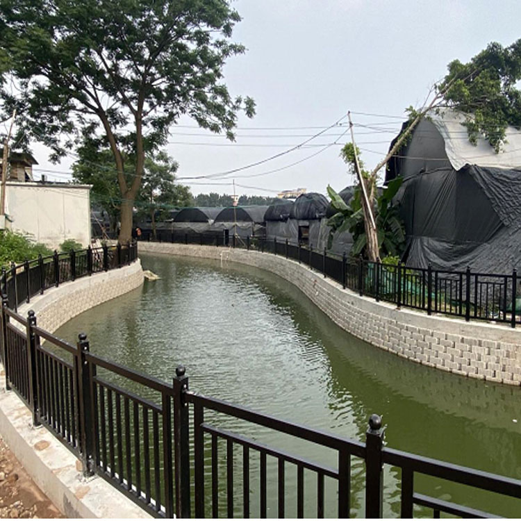 佛山河道護(hù)欄美化城市防洪安全原始圖片2