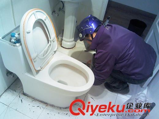 維修為爾思電馬桶、上海為爾思污水提升泵修理原始圖片2