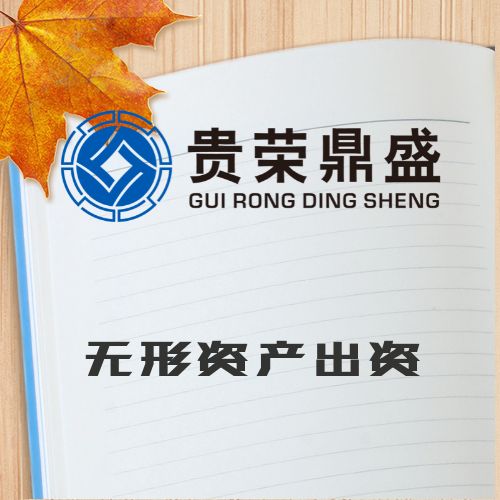 湖北省襄陽市專利評(píng)估入股資產(chǎn)評(píng)估今日新訊