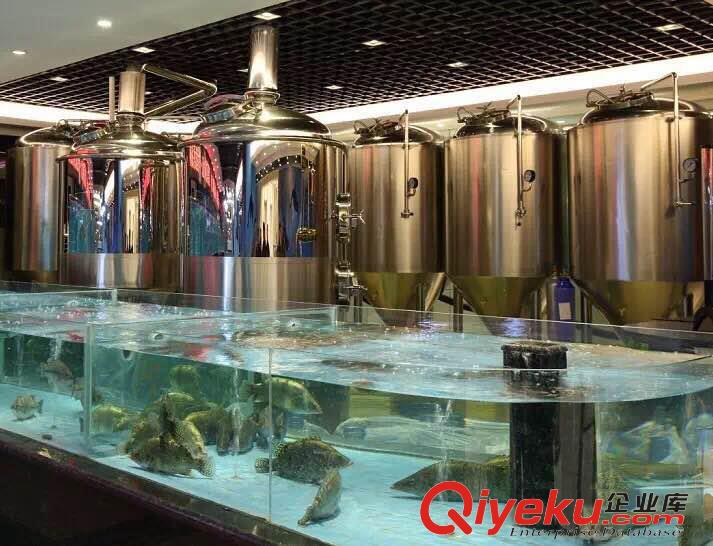 天津啤酒屋日產1000升的精釀原漿啤酒設備原始圖片3