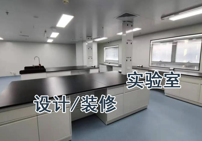 實(shí)驗(yàn)室設(shè)計(jì)實(shí)驗(yàn)室建設(shè)實(shí)驗(yàn)臺(tái)定制原始圖片2