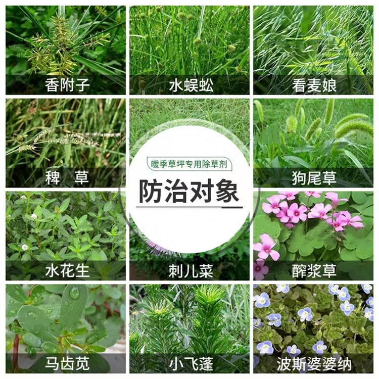 香附子除草劑三氟啶磺隆生產廠家農藥