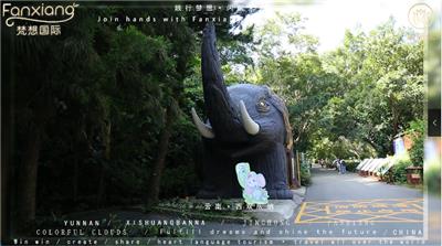 梵想国际2022西双版纳全国会打卡野象谷