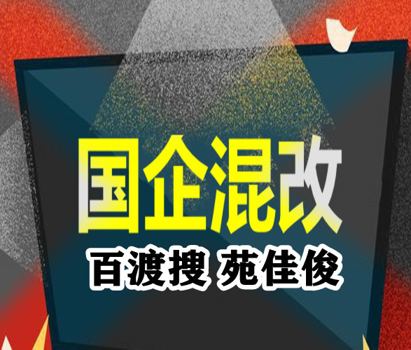 國有企業(yè)與民營企業(yè)混改的方式流程怎樣辦理