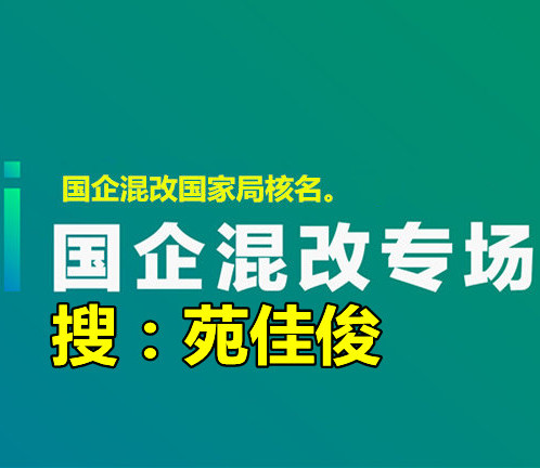 国企混改国有企业和民营企业混改的方式