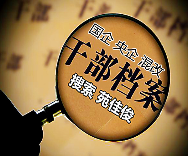 民營企業如何參與國企混改央企混改原始圖片2