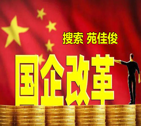 民营企业混改为国有控股企业的流程