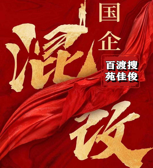 民企混改國企央企的費用要求方式流程