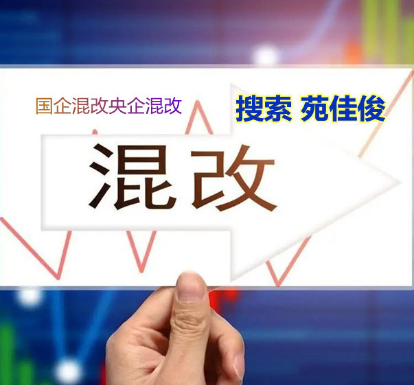 民企如何與國有企業(yè)混改合作用什么方式