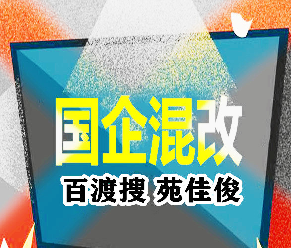 民營企業(yè)混改國有控股企業(yè)流程步驟費用