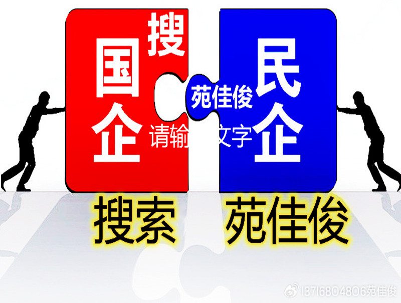 國(guó)企控股民營(yíng)企業(yè)不參與經(jīng)營(yíng)利潤(rùn)分紅