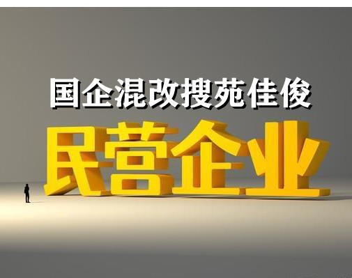 國企參股民企混改股份比例流程步驟