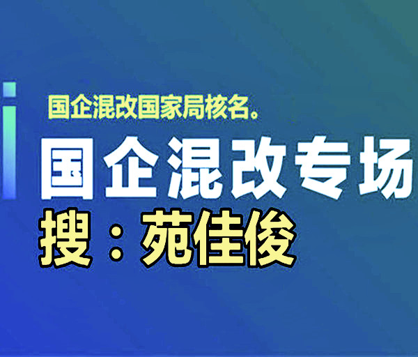 私企融入國企混改合作的費(fèi)用步驟