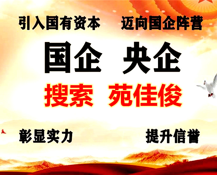 国企入股民营企业的手续流程政策规定