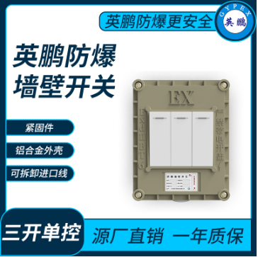 英鵬生物工程防爆開關(guān)四開單控