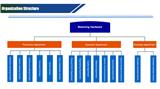 Organization Structure