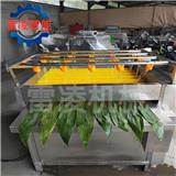 毛輥粽葉清洗機 全自動荷葉清洗機 粽子加工設備