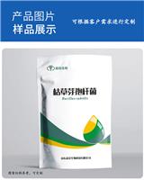 益昊生物供應農用枯草芽孢桿菌粉劑