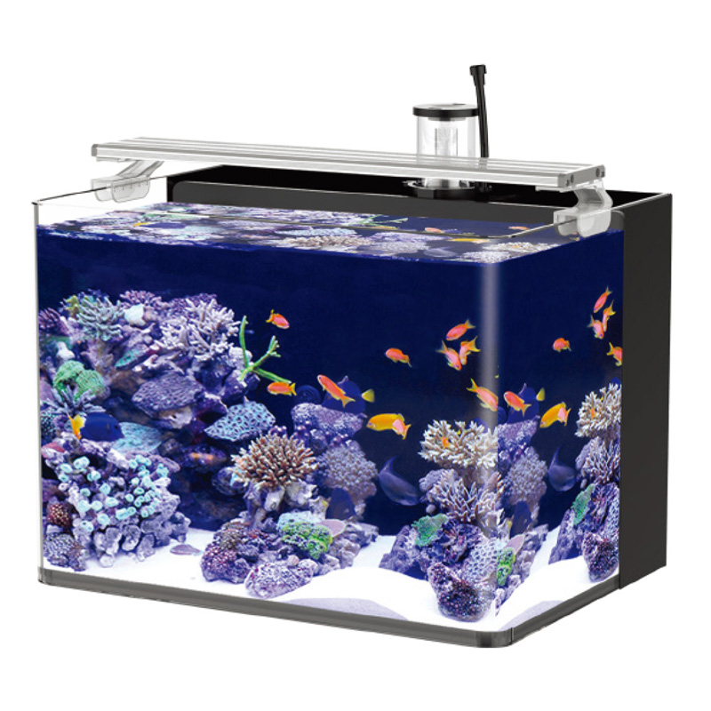 MARINE GLASS AQUARIUM