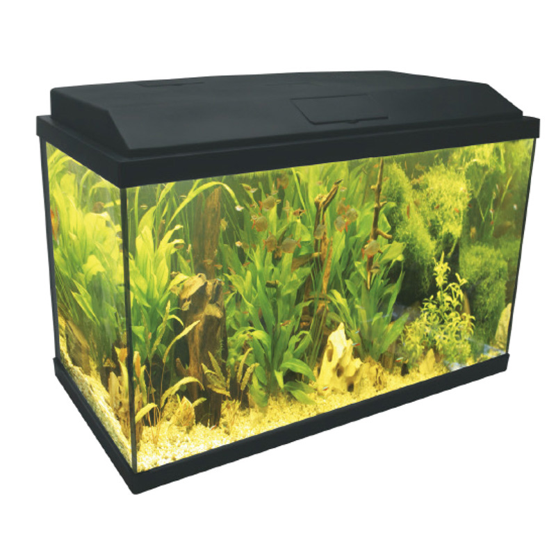 RECTANGULAR GLASS AQUARIUM