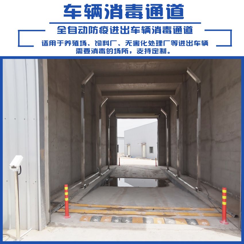 車輛洗消防疫通道原始圖片3