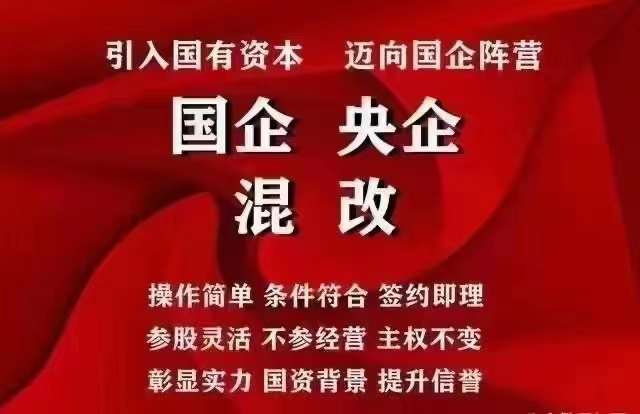 国企混改民企如何混改成为国企