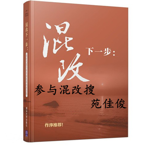 央企混改办理方式央企代持民营股份的要求