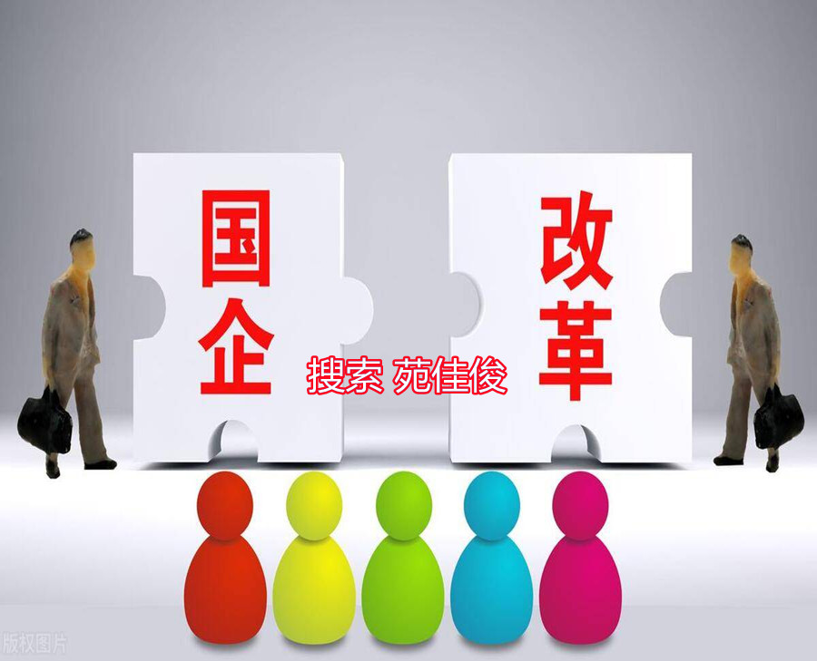 國企混改民企國企合資成立子公司