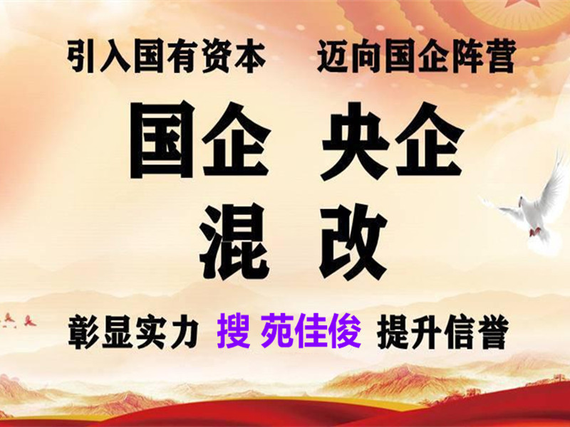 民企參與國企央企股權(quán)混改基本要求和條件說明原始圖片2