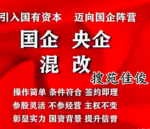 国企改革国企参股民企做民企大股东