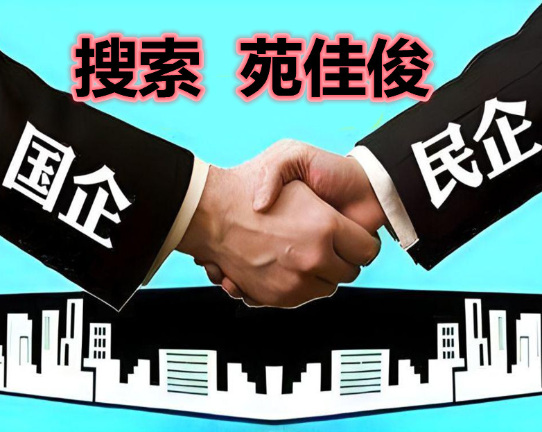 民企與央企國企混改流程要求