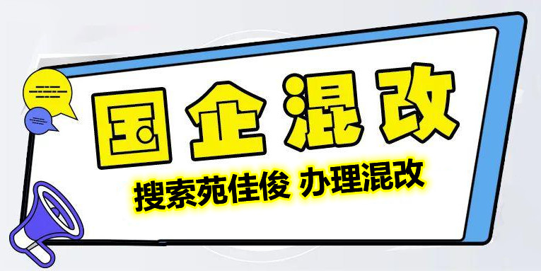 苑佳俊介绍国企混改操作流程要求好处