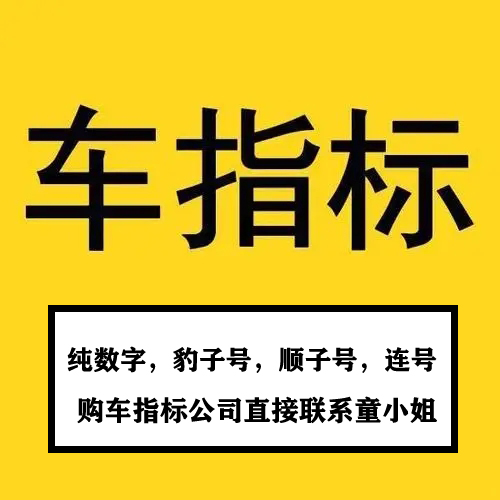 转让公户靓号车指标666尾号公司干净